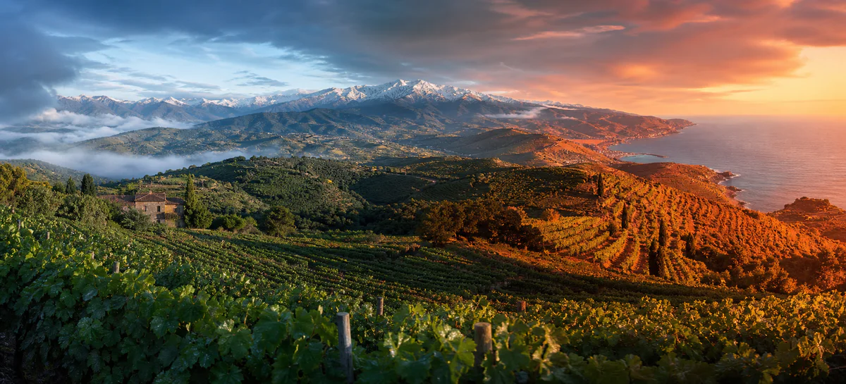 Vin Pyrénées, que boire entre fraîcheur atlantique et chaleur catalane ?